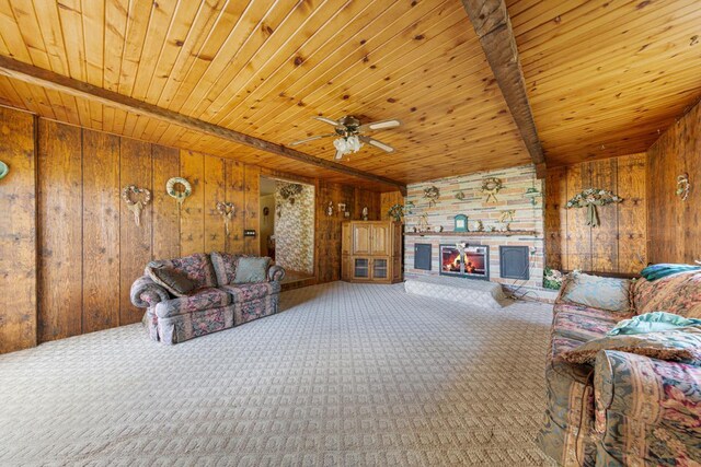 47213 800th St, Lakefield, MN 56150 - photo 29