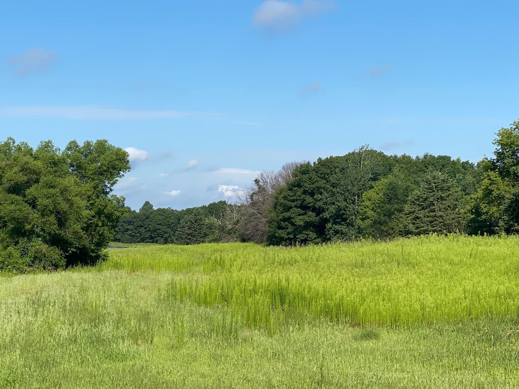 TBD 116th St NW, Zimmerman, MN 55398 - photo 2