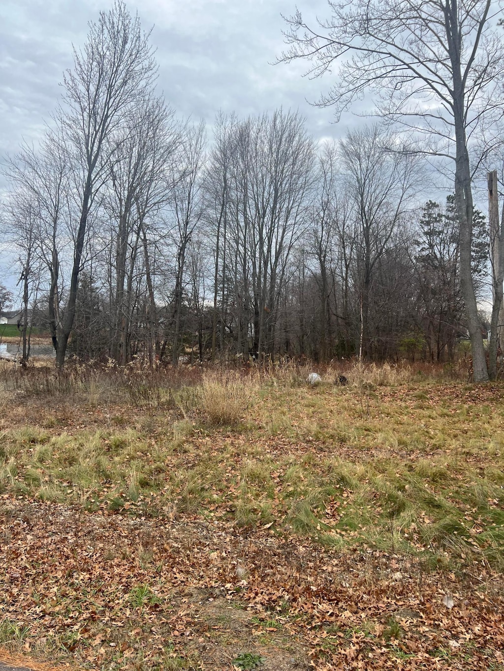 4582 Verde Valley Rd NW, Oak Grove, MN 55303 - photo 2