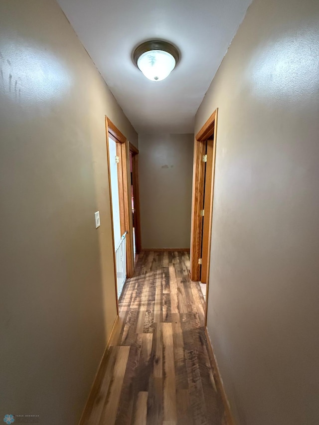 202 Cuba St, Lake Park, MN 56554 - photo 16