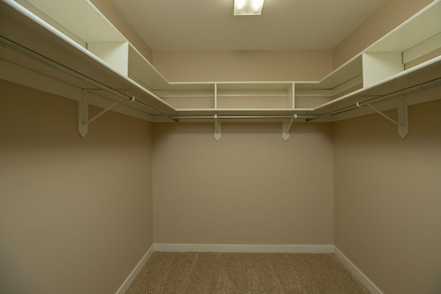 1636 6th Ave SW Unit 4, Rochester, MN 55902 - photo 18