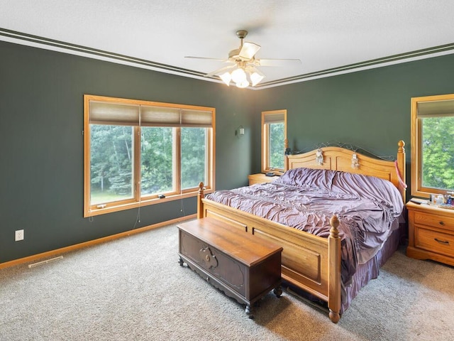 7236 177th Ave NE, Forest Lake, MN 55025 - photo 34