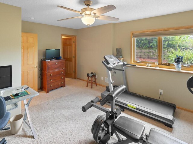 7236 177th Ave NE, Forest Lake, MN 55025 - photo 58