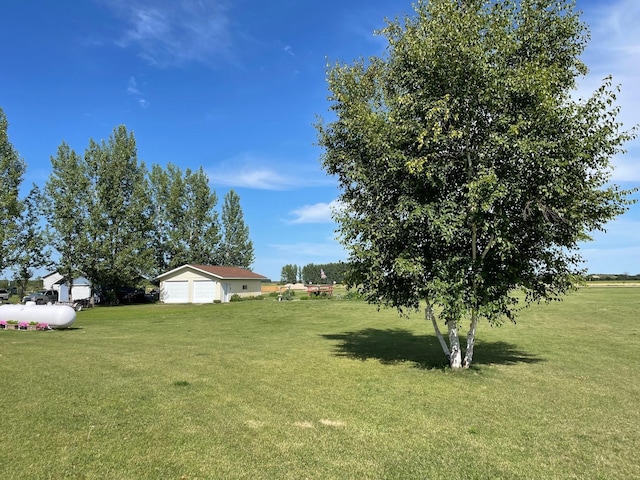 29852 400th Ave, Spruce Twp, MN 56751 - photo 12