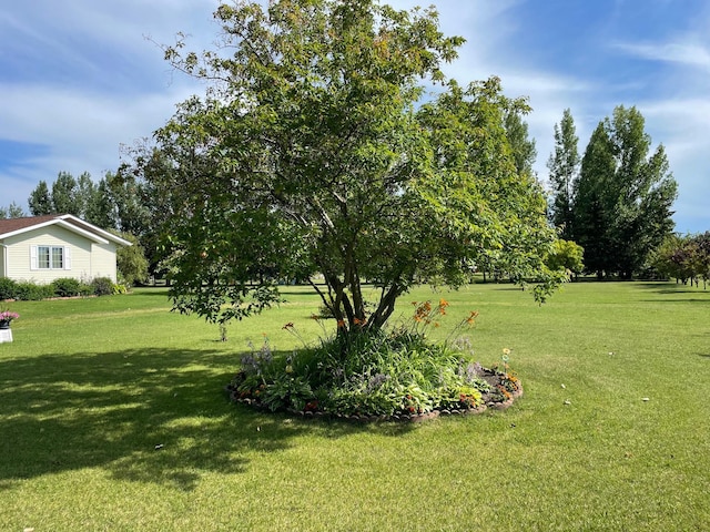 29852 400th Ave, Spruce Twp, MN 56751 - photo 13