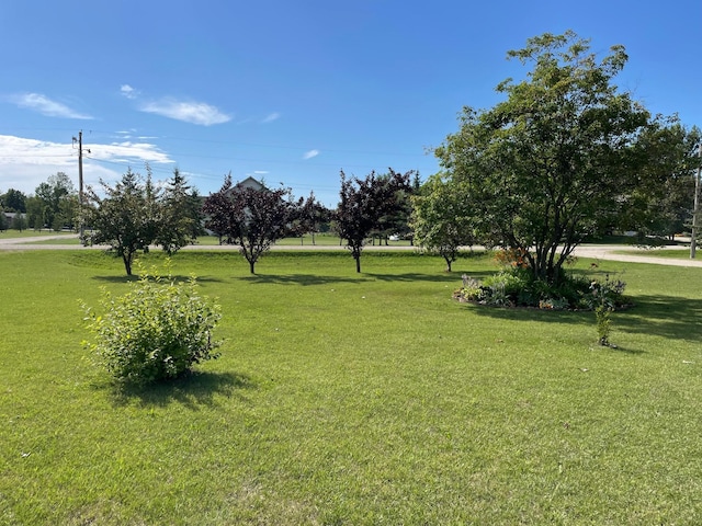 29852 400th Ave, Spruce Twp, MN 56751 - photo 15