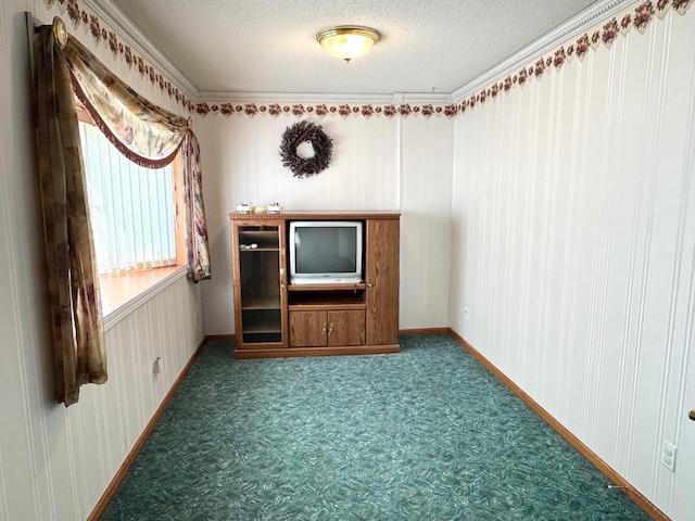 29852 400th Ave, Spruce Twp, MN 56751 - photo 36