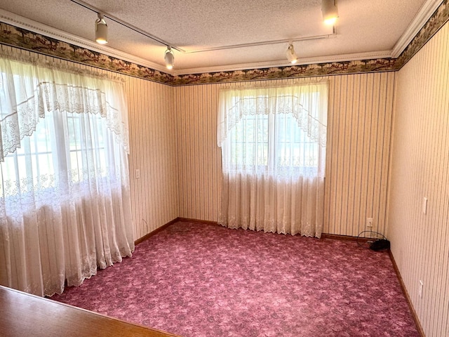 29852 400th Ave, Spruce Twp, MN 56751 - photo 37