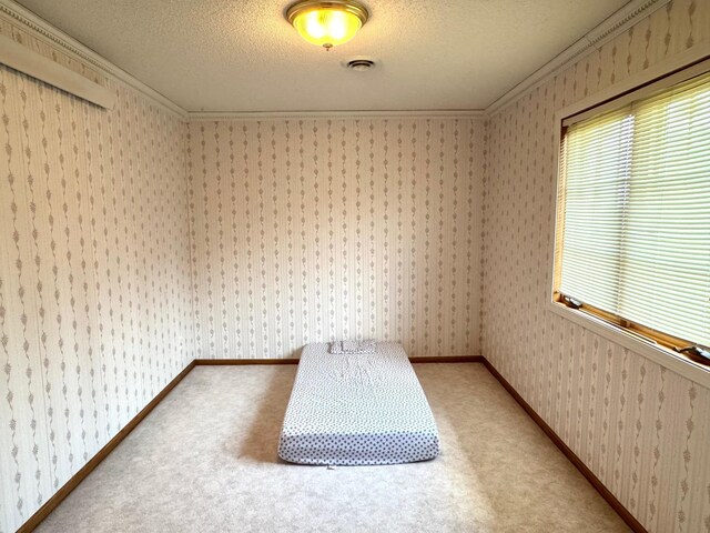 29852 400th Ave, Spruce Twp, MN 56751 - photo 46