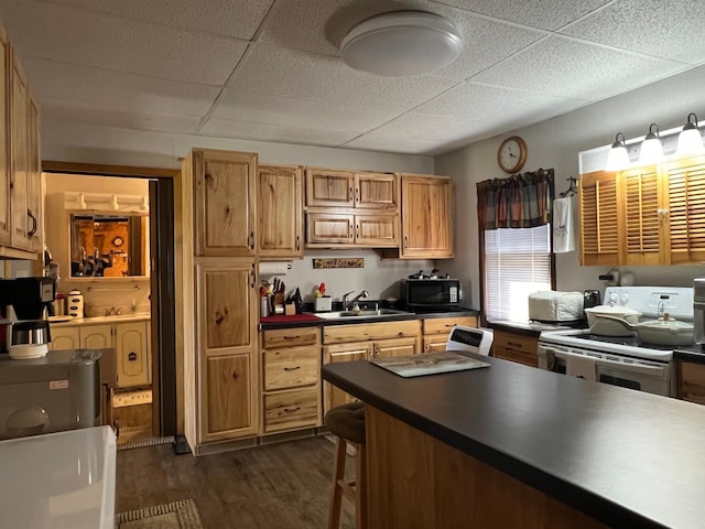 47698 Pine Lake Rd, Pine Lake Twp, MN 56644 - photo 42