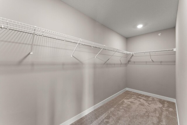 4238 Corn Silk Way, Woodbury, MN 55129 - photo 13