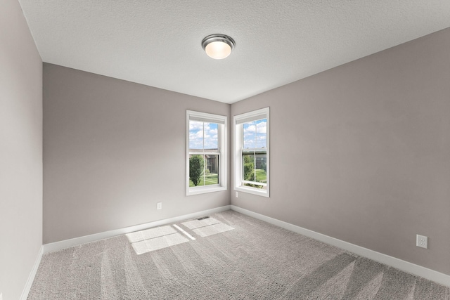 4238 Corn Silk Way, Woodbury, MN 55129 - photo 18