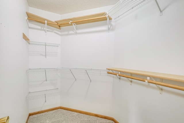 12911 194th Ln NW, Elk River, MN 55330 - photo 19
