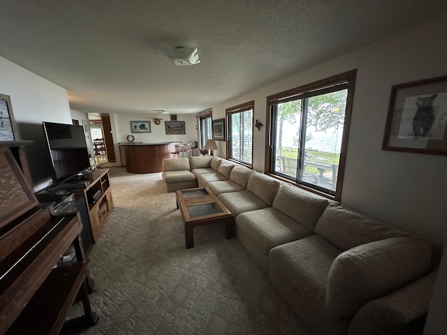 13248 Big Cormorant Rd, Audubon, MN 56511 - photo 3