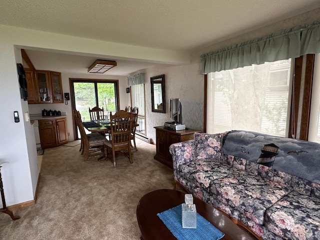 13248 Big Cormorant Rd, Audubon, MN 56511 - photo 4