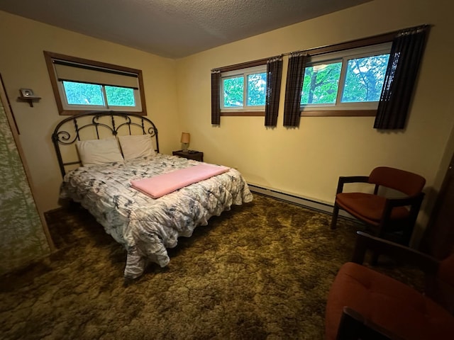 13248 Big Cormorant Rd, Audubon, MN 56511 - photo 6