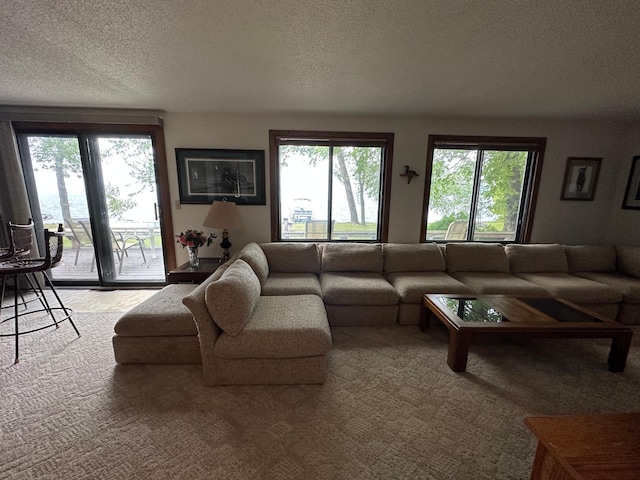 13248 Big Cormorant Rd, Audubon, MN 56511 - photo 15