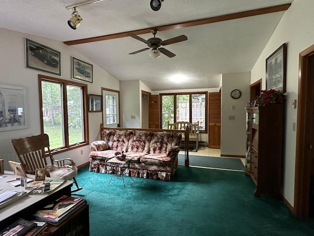 13248 Big Cormorant Rd, Audubon, MN 56511 - photo 20