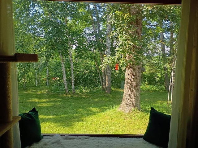 3551 270th St, Cushing Twp, MN 56443 - photo 26