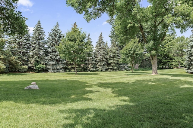 3547 Pilgrim Ln N, Plymouth, MN 55441 - photo 26