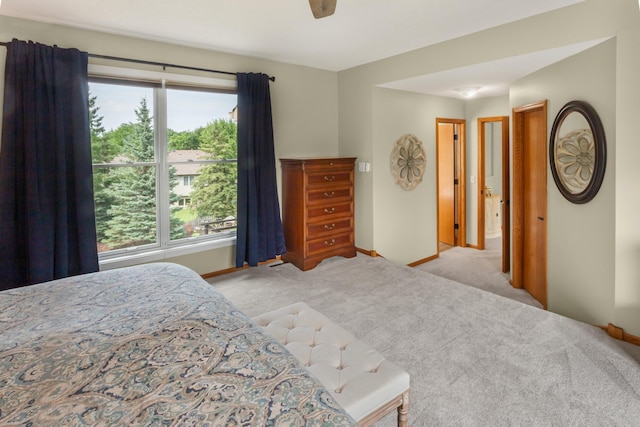 4760 Hummingbird Trl NE, Prior Lake, MN 55372 - photo 23