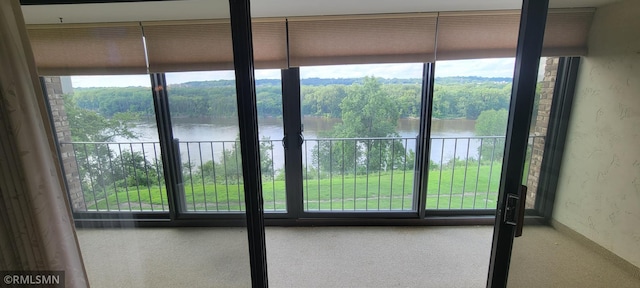 1101 Sibley Memorial Hwy Unit 301, Lilydale, MN 55118 - photo 5