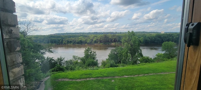 1101 Sibley Memorial Hwy Unit 301, Lilydale, MN 55118 - photo 14