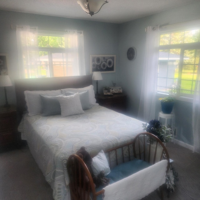 6450 153rd Ln NW, Ramsey, MN 55303 - photo 8