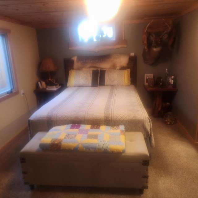 6450 153rd Ln NW, Ramsey, MN 55303 - photo 9