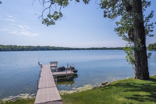 23545 Foxview Ln, Lake View Twp, MN 56501 - photo 28