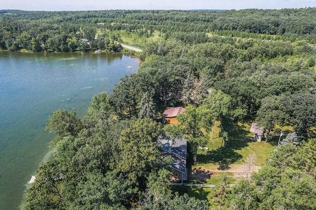 23545 Foxview Ln, Lake View Twp, MN 56501 - photo 29