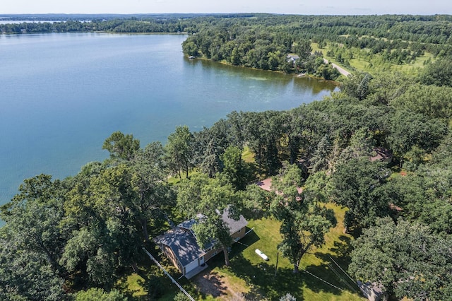 23545 Foxview Ln, Lake View Twp, MN 56501 - photo 30