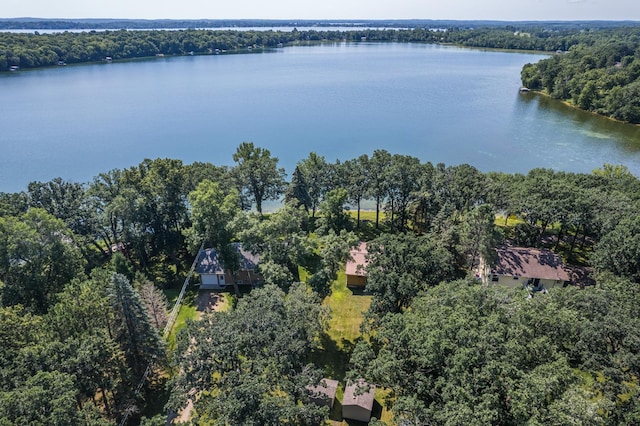 23545 Foxview Ln, Lake View Twp, MN 56501 - photo 31