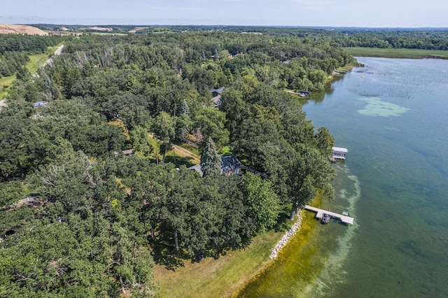 23545 Foxview Ln, Lake View Twp, MN 56501 - photo 34