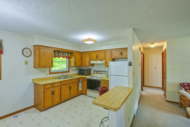 412 Westgate Dr, Winsted, MN 55395 - photo 5