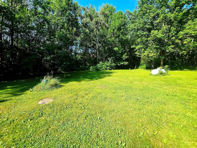 2303 Cardas Rd, Mora, MN 55051 - photo 8