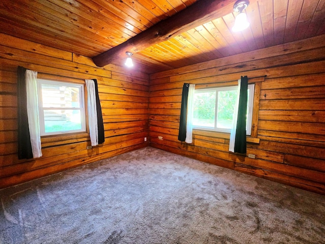 2303 Cardas Rd, Mora, MN 55051 - photo 19