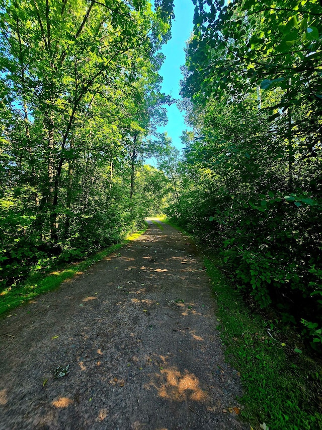 2303 Cardas Rd, Mora, MN 55051 - photo 32