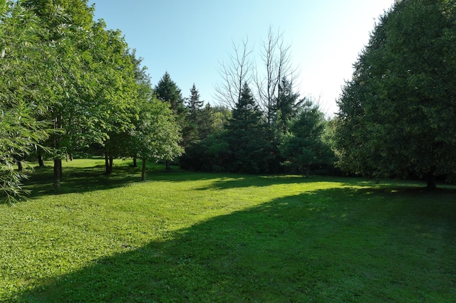 N8763 650th St, Martell Twp, WI 54022 - photo 55