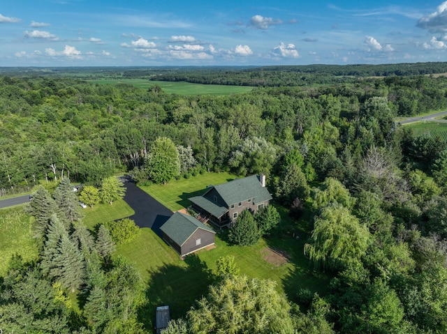 N8763 650th St, Martell Twp, WI 54022 - photo 58