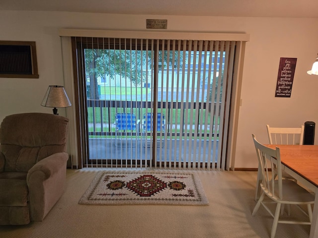 1210 Long Ave Unit 102, Detroit Lakes, MN 56501 - photo 9