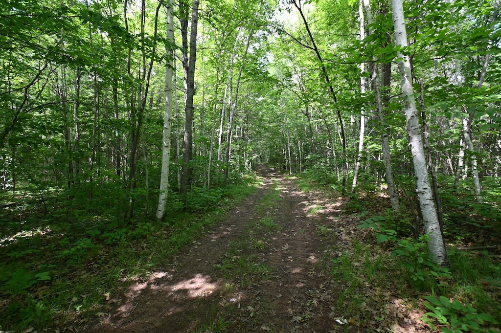XX Railroad Rd, Lake Nebagamon, WI 54849 - photo 2