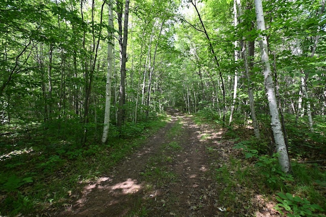 XX Railroad Rd, Lake Nebagamon, WI 54849 - photo 2