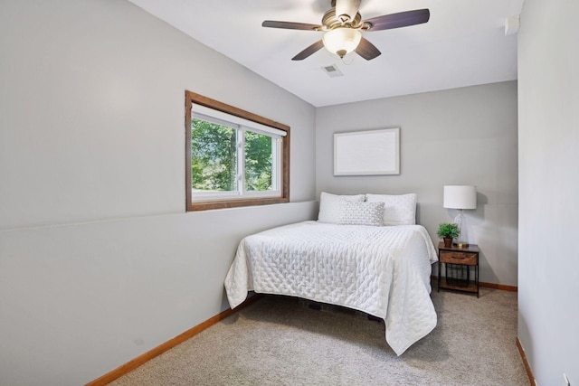 566 Kassel Ln, Chaska, MN 55318 - photo 15