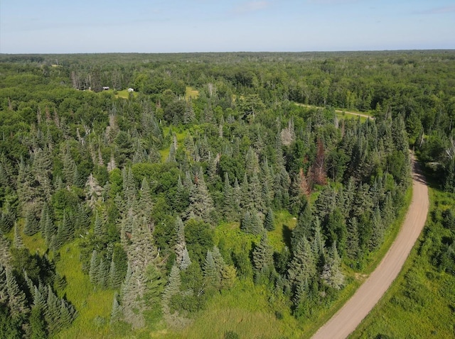 14727 Sprandel Rd, Wagner Twp, MN 55735 - photo 1