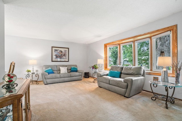 4525 81st Ln N, Brooklyn Park, MN 55443 - photo 29