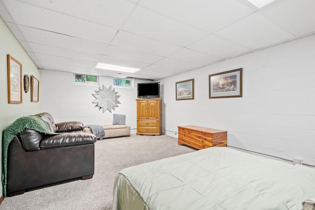 4525 81st Ln N, Brooklyn Park, MN 55443 - photo 52