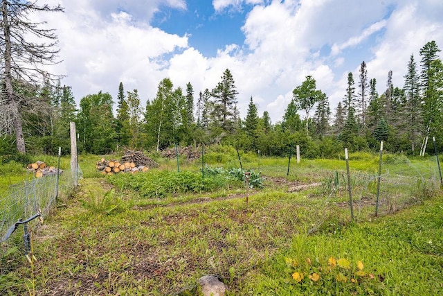 6081 Murphy Lake Rd, Two Harbors, MN 55602 - photo 6