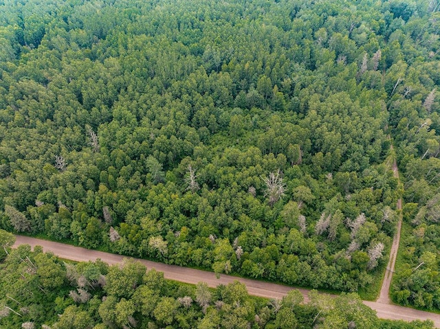 6081 Murphy Lake Rd, Two Harbors, MN 55602 - photo 22
