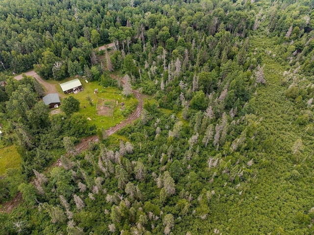6081 Murphy Lake Rd, Two Harbors, MN 55602 - photo 23